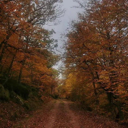 Cholo דירה Branosera